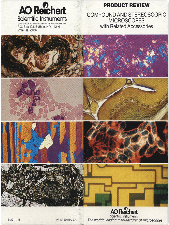 A collection of images of different colors
Description automatically generated