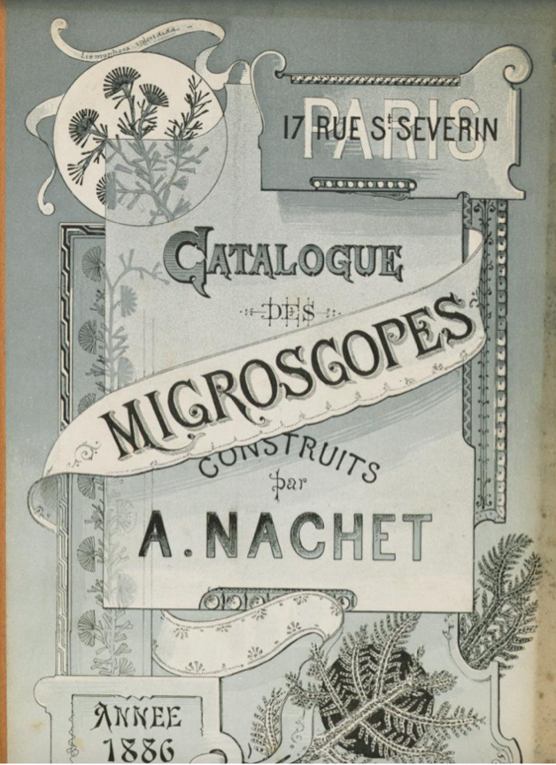 A book cover with a ribbon and text
Description automatically generated