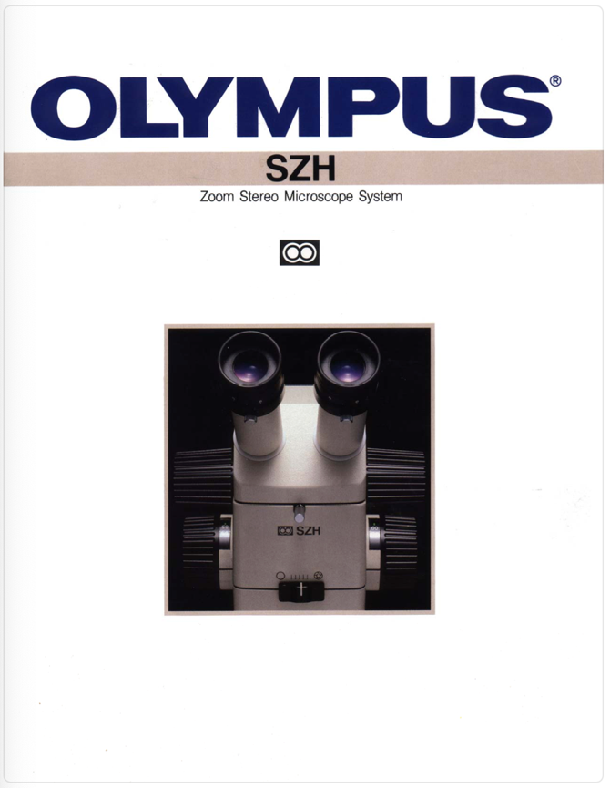 A cover of a book
Description automatically generated