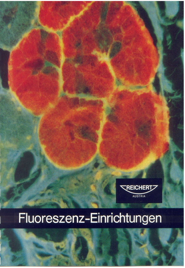 A close-up of a book cover
Description automatically generated