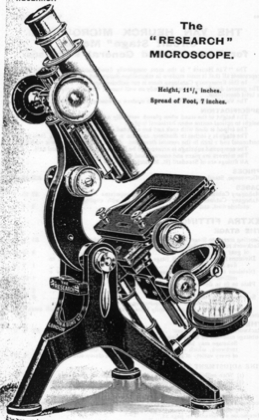 A picture containing text
Description automatically generated