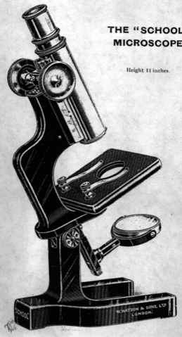 A picture containing text
Description automatically generated