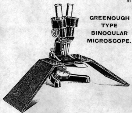 A picture containing text
Description automatically generated