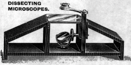 A picture containing text, black, old
Description automatically generated