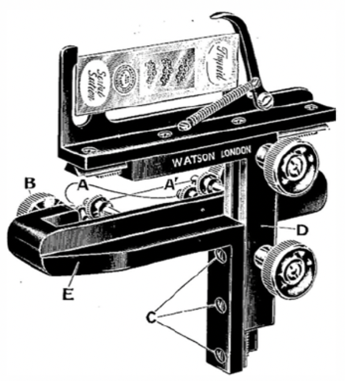 A picture containing text
Description automatically generated