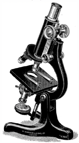 A close-up of a hand object
Description automatically generated with low confidence