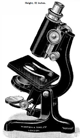 A close-up of an object
Description automatically generated with medium confidence