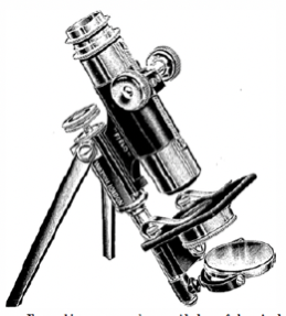 A close-up of an object
Description automatically generated with low confidence