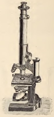 A picture containing indoor, old, table, sitting
Description automatically generated