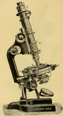 A picture containing appliance, small, table, sitting
Description automatically generated