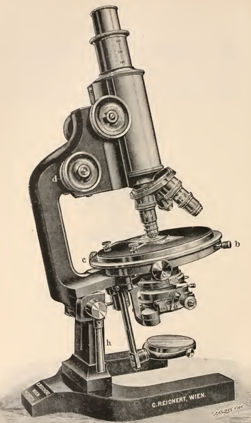 A picture containing object, sitting, small, motorcycle
Description automatically generated