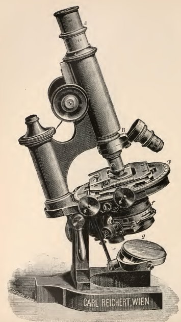 A picture containing object, small, old, sitting
Description automatically generated