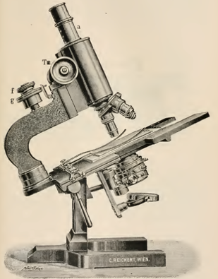 A picture containing object, photo, small, sitting
Description automatically generated