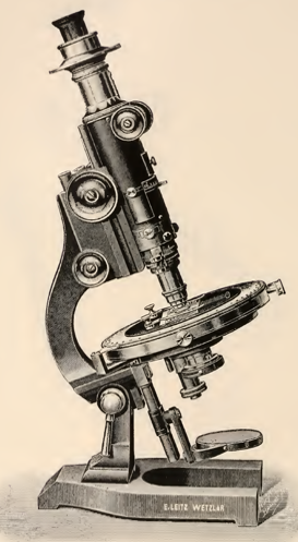 A picture containing object, sitting, small, table
Description automatically generated