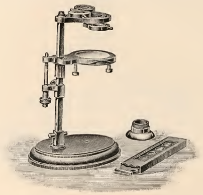 A picture containing indoor, table, sitting, small
Description automatically generated