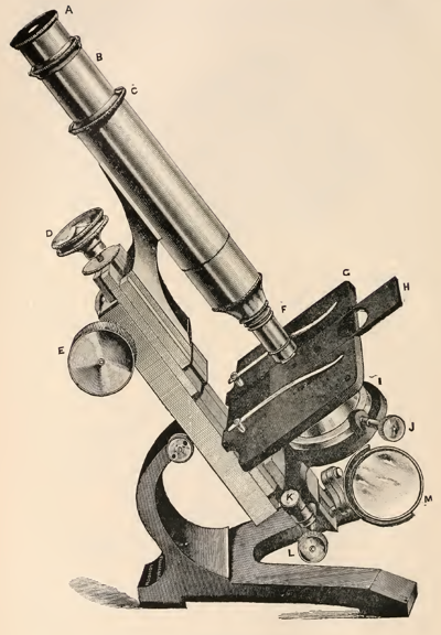 A close up of a gun
Description automatically generated