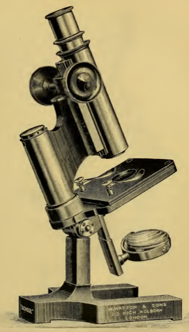 A picture containing object, indoor, clock, sitting
Description automatically generated
