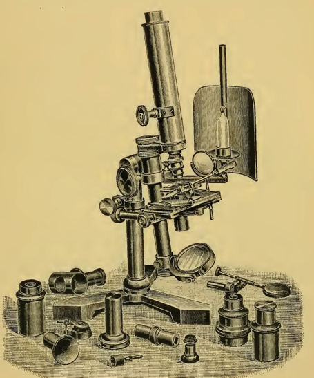 A close up of a lamp
Description automatically generated