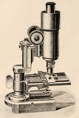 A picture containing indoor, table, sitting, old
Description automatically generated