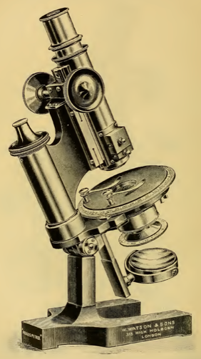 A picture containing object, motorcycle, sitting, kitchen
Description automatically generated