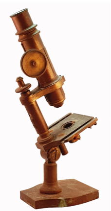 A close-up of a gavel
Description automatically generated with low confidence