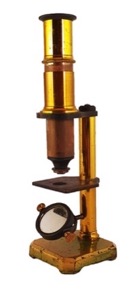 A picture containing table, sitting, front, old
Description automatically generated