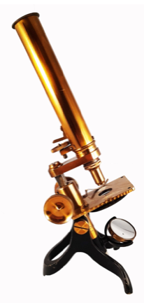 A close - up of a gavel
Description automatically generated with medium confidence