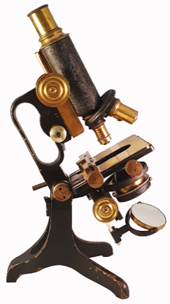 A picture containing sitting
Description automatically generated