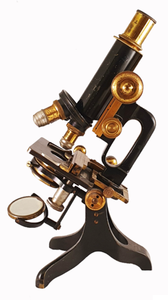 A picture containing table, sitting, old, holding
Description automatically generated