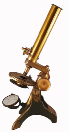 A picture containing sitting, table, wooden, hanging
Description automatically generated