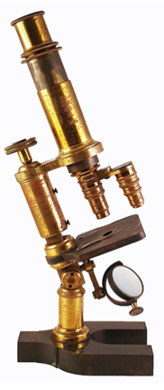 A close-up of a gavel
Description automatically generated with low confidence