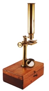 A picture containing indoor, table, sitting
Description automatically generated