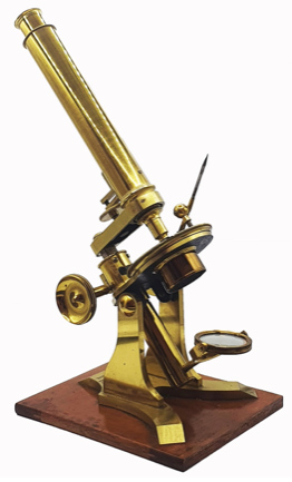A gold microscope on a white background
Description automatically generated