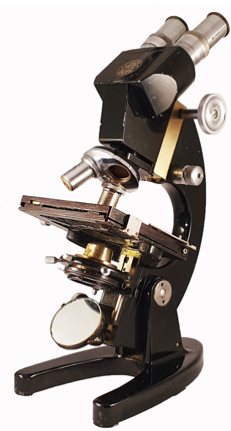 A picture containing motorcycle, small, person, sitting
Description automatically generated