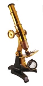 A picture containing table
Description automatically generated