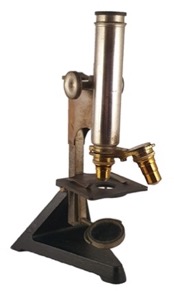 A picture containing indoor, table, sitting, front
Description automatically generated