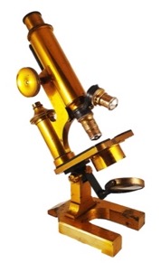 A picture containing table, wooden, yellow, sitting
Description automatically generated