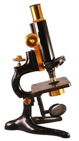 A picture containing indoor, black, sitting, table
Description automatically generated