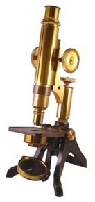 A picture containing indoor, table, small, sitting
Description automatically generated