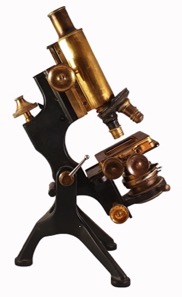 A picture containing small, table, person, holding
Description automatically generated