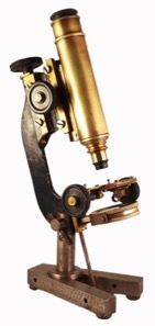 A picture containing table, board, person
Description automatically generated