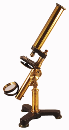 A picture containing brass, music
Description automatically generated