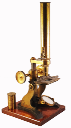 A picture containing indoor
Description automatically generated