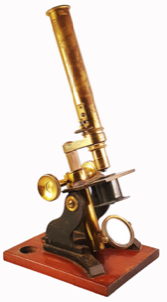 A picture containing indoor
Description automatically generated