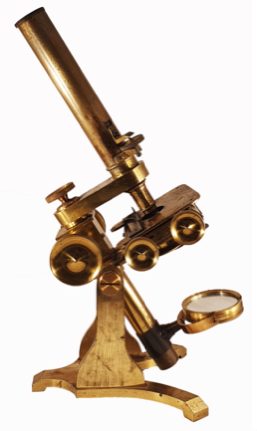 A gold microscope on a white background
Description automatically generated