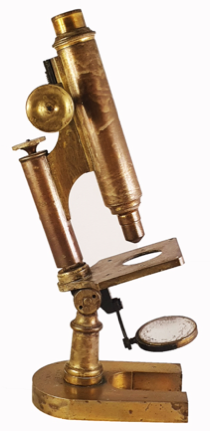 A close-up of a gold microscope
Description automatically generated