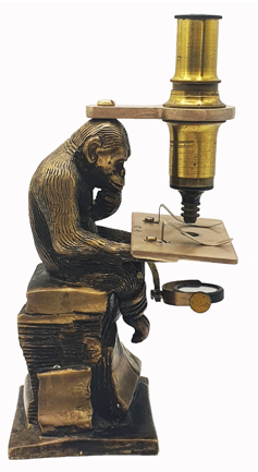 A statue of a monkey using a microscope
Description automatically generated