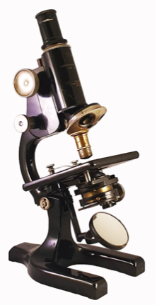 A picture containing indoor, table, small, sitting
Description automatically generated