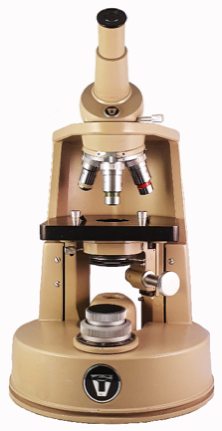 A picture containing indoor, table, sitting, small
Description automatically generated