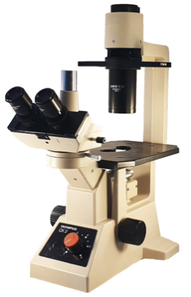A white and black microscope
Description automatically generated